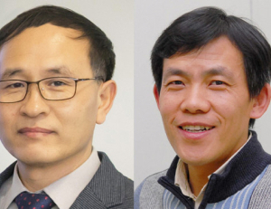 기사이미지